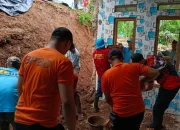 Hujan Belum Selesai, Pohon Sudah Tumbang Duluan