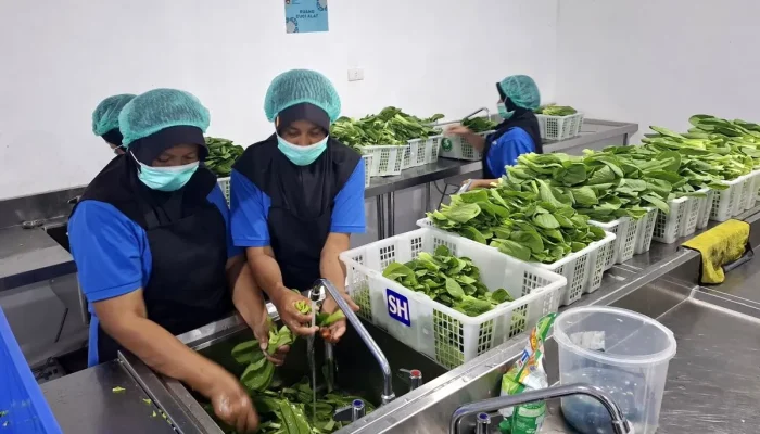 Cegah Keracunan Makanan, Pemkot Bandar Lampung Wajibkan Dapur Makan Punya Izin