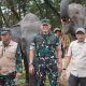 Pangdam XXI/RI Himbau Warga Tetap Tenang, Siaga Pasukan Hadapi Aktivitas Anak Krakatau