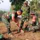 Peringati HUT ke- 81 TNI, Kodim 0410/KBL Gelar Penanaman Pohon Serentak untuk Kelestarian Lingkungan