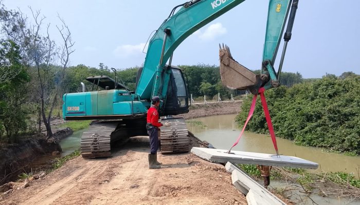 Pembangunan Mitigasi Konflik Gajah Way Kambas Capai 82 Persen, Komite Sepakati Pintu Akses Pertanian Warga