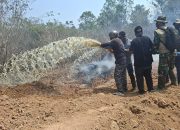 Karhutla Landa Dua Resor TNWK, Tim Gabungan Pastikan Koloni Gajah Sumatra Jauh dari Titik Api