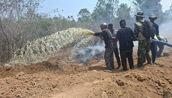 Karhutla Landa Dua Resor TNWK, Tim Gabungan Pastikan Koloni Gajah Sumatra Jauh dari Titik Api