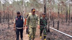Kepala BNPB Cek Penanganan Karhutla Way Kambas