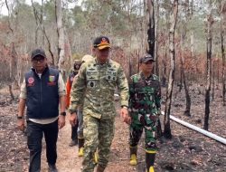 Kepala BNPB Cek Penanganan Karhutla Way Kambas